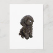 Poedel - zwarte speelgoed pup briefkaart (Voorkant)