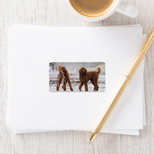 Poedeldag 2010 #10 etiket (Insitu)