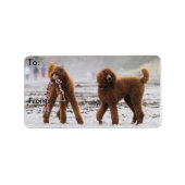 Poedeldag 2010 #10 etiket (Voorkant)