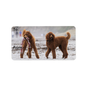 Poedeldag 2010 #10 etiket