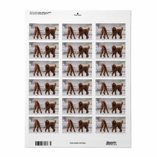 Poedeldag 2010 #10 etiket (Full Sheet)