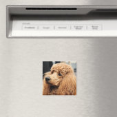 Poedeldag 2010 #19 magneet (Insitu (Vaatwasser))