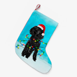 Poedelhond zittend in de sneeuw met Santa Hat Ligh Kleine Kerstsok