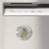 Poedels zijn hemelse magneet (Insitu (Vaatwasser))