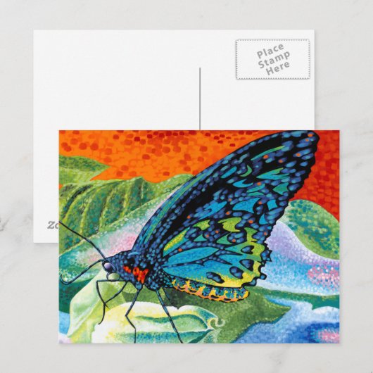 Poeder-Butterfly II Briefkaart (Voorkant / Achterkant)