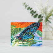 Poeder-Butterfly II Briefkaart (Staand voorkant)