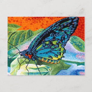 Poeder-Butterfly II Briefkaart