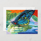 Poeder-Butterfly II Briefkaart (Voorkant / Achterkant)