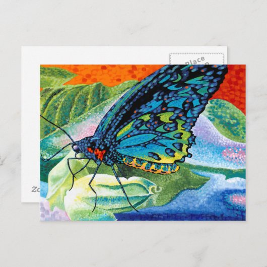 Poeder-Butterfly II Briefkaart (Voorkant / Achterkant)