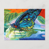 Poeder-Butterfly II Briefkaart (Voorkant)