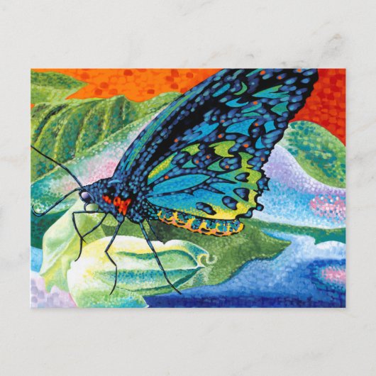 Poeder-Butterfly II Briefkaart (Voorkant)