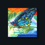 Poeder-Butterfly II Canvas Afdruk<br><div class="desc">Butterflies en insecten</div>