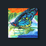 Poeder-Butterfly II Canvas Afdruk<br><div class="desc">Butterflies en insecten</div>