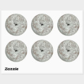 Poeder suger doneert ronde glanzende stickers (Vel)