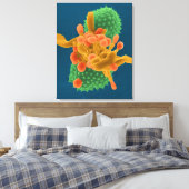 Poederachtige schimmel hyphae / sporen en ambrosia canvas afdruk (Insitu (Slaapkamer))