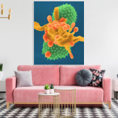Poederachtige schimmel hyphae / sporen en ambrosia canvas afdruk (Insitu (Woonkamer))