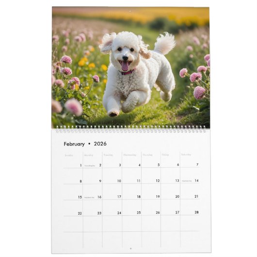 POEDERKALENDER 2026 KALENDER (Feb 2026)