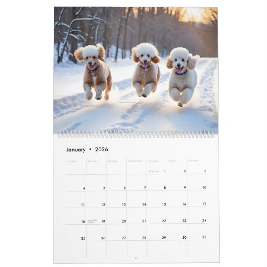 POEDERKALENDER 2026 KALENDER (Jan 2026)