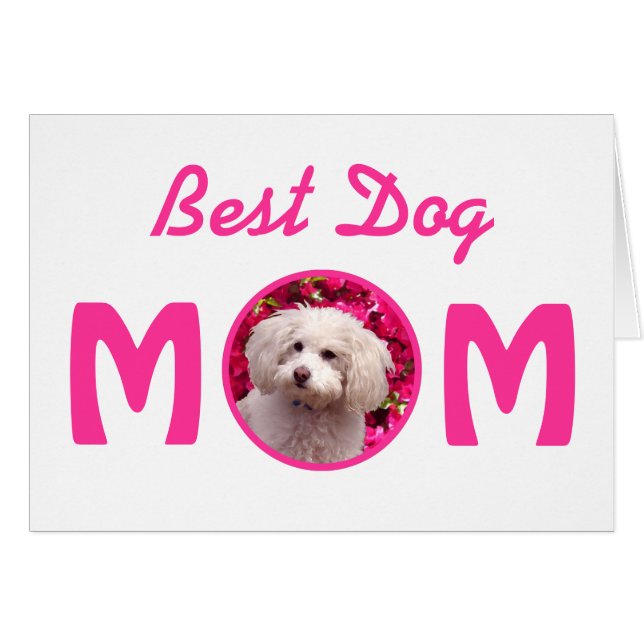  poel (Voorkant Horizontaal)