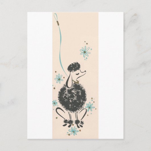  poel briefkaart (Voorkant)