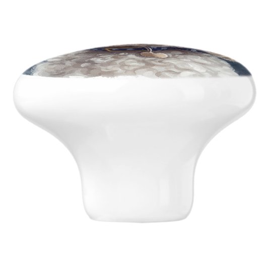  poel keramische knop (Zijkant)