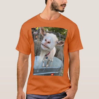 poel t-shirt