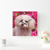 poel vierkante klok (Huis)