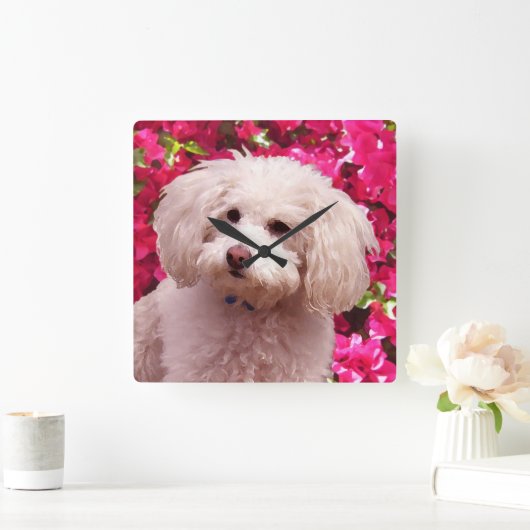  poel vierkante klok (Huis)