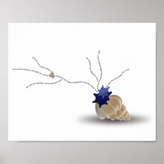 Poem citeert minimalistische zeeschildpad strandku poster (Voorkant)