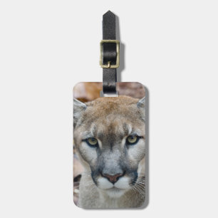 Poema, bergleeuw, Florida panter, Puma Bagagelabel