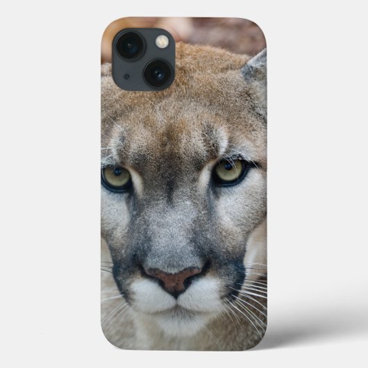 Poema, bergleeuw, Florida panter, Puma Case-Mate iPhone Case (Achterkant)