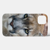 Poema, bergleeuw, Florida panter, Puma Case-Mate iPhone Case (Achterkant (horizontaal))