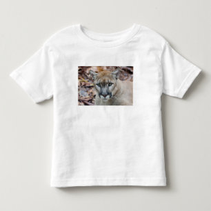 Poema, bergleeuw, Florida panter, Puma Kinder Shirts