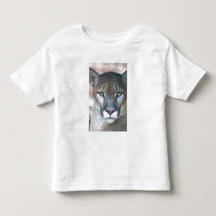 Poema, bergleeuw, Florida panter, Puma Kinder Shirts