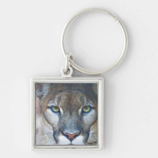 Poema, bergleeuw, Florida panter, Puma Sleutelhanger (Voorkant)