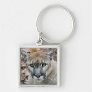 Poema, bergleeuw, Florida panter, Puma Sleutelhanger