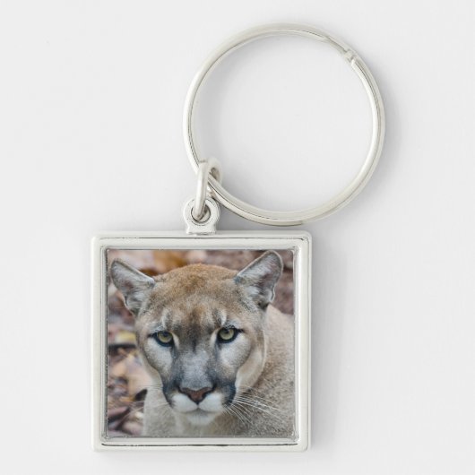 Poema, bergleeuw, Florida panter, Puma Sleutelhanger (Voorkant)