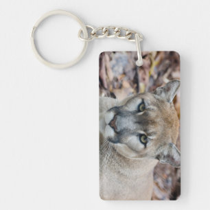 Poema, bergleeuw, Florida panter, Puma Sleutelhanger