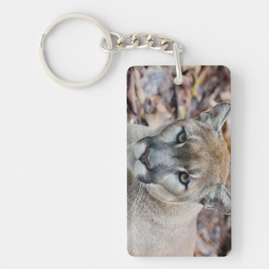 Poema, bergleeuw, Florida panter, Puma Sleutelhanger (Voorkant)