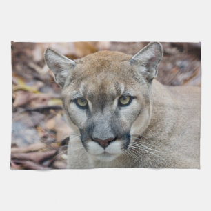 Poema, bergleeuw, Florida panter, Puma Theedoek