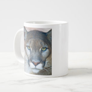 Poema, bergleeuw, Floridapanter, Puma Grote Koffiekop