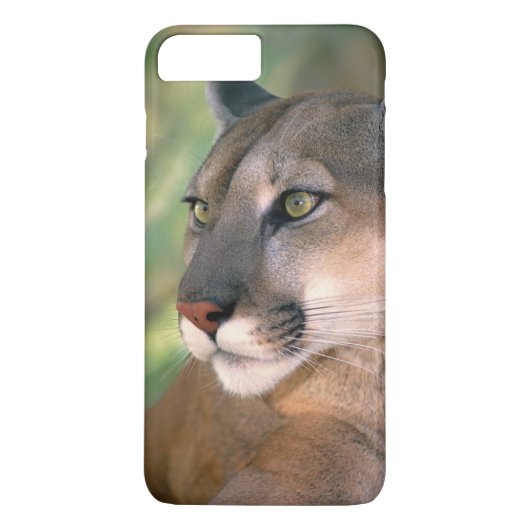 Poema, Californië Case-Mate iPhone Case (Achterkant)