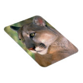 Poema, Californië Magneet (Rechterzijde)