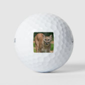 Poema Golfballen (Voorkant)