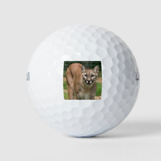 Poema Golfballen (Voorkant)