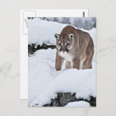 Poema in de Sneeuw Briefkaart (Voorkant / Achterkant)