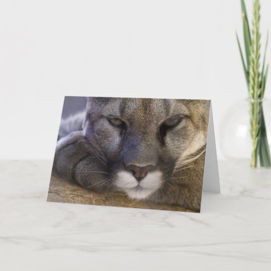 Poema Kaart (Voorkant)