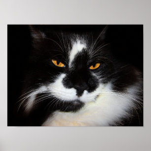 Poema Kat Poster