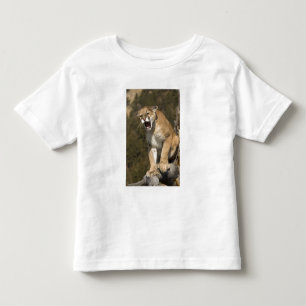 Poema of bergleeuw, puma concolor, In gevangenscha Kinder Shirts