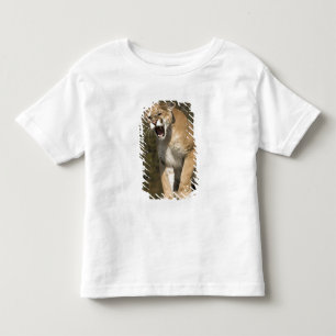 Poema of bergleeuw, puma concolor, In gevangenscha Kinder Shirts